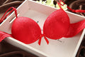 Mulonu® Sexy Lace Bra Set: Fashionable Deep V Push-up Underwear with Vintage Embroidery